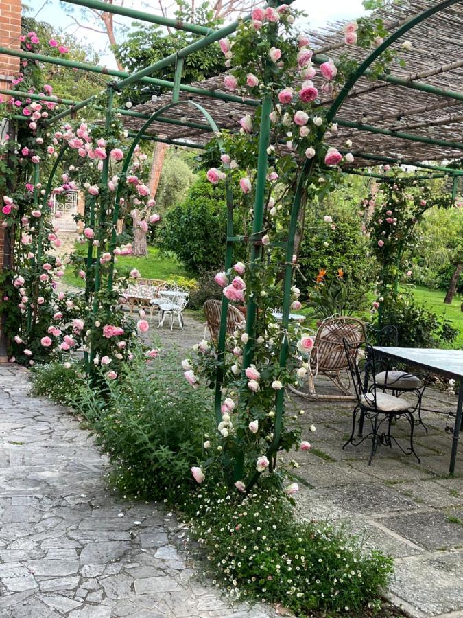 La Rosa Bianca Hotel Мачерата Екстериор снимка